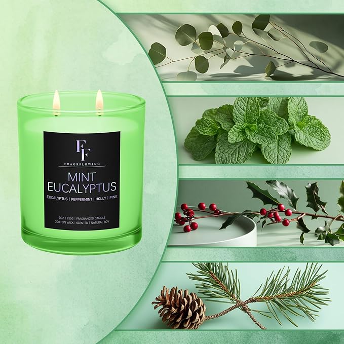 Mint Eucalyptus Scented Candle, 2-Wick Luxury Soy Wax Candle, 9 oz Aromatherapy Candle Home Fragrance Candles Gift - Bloomnest