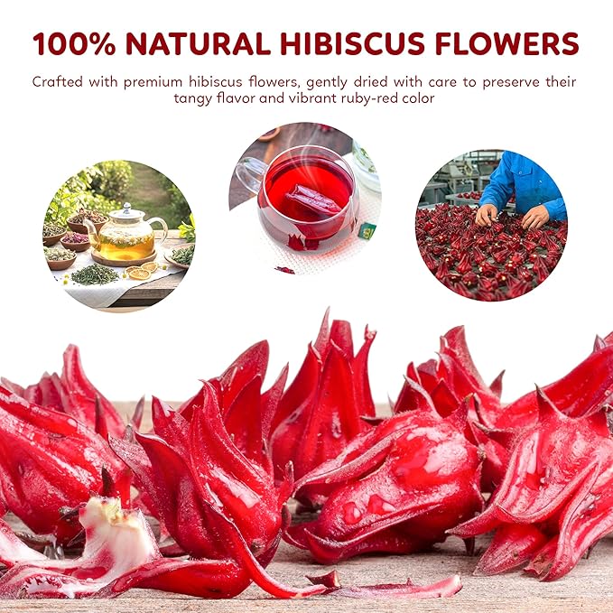 Indochine Blends Hibiscus Tea Bags | 100% Pure Hibiscus Flower | Sugar-Free, Caffeine-Free Herbal Tea | Double Chamber, Individually Wrapped Bags| Rich in Natural Goodness and Flavor | 3.5 oz | 50 Tea Bags - Bloomnest