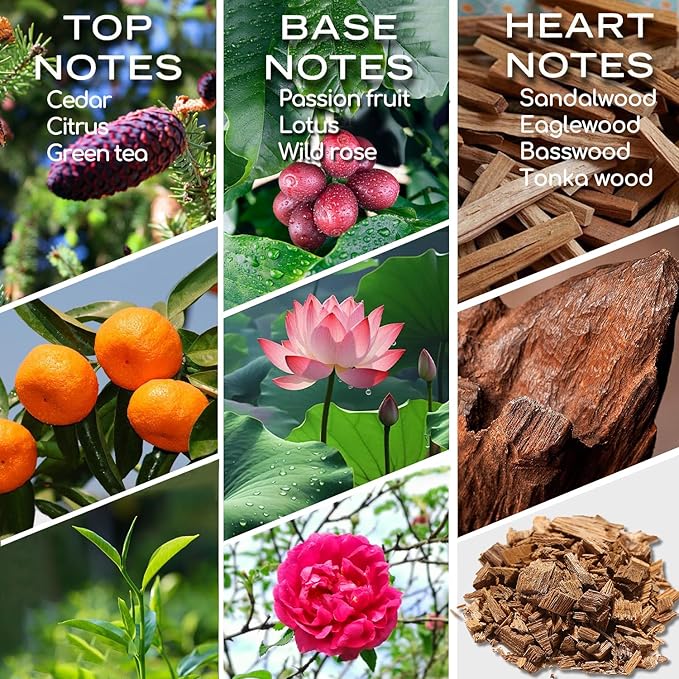 Elegant Charisma Essential Oil, Diffuser Oil, Inspired by Shangri-La, Home Luxury & Scents for Diffuser, 30ML Pure Diffuser Oil with Cedarwood Sandalwood for Aromatherapy - Bloomnest