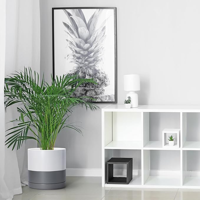 D'vine Dev Set of 2 Plants Pots, 10 Inch Ceramic Planter Pot for Plants with Drainage Hole and Saucer, White/Speckled Grey, 94-V-E-6 - Bloomnest