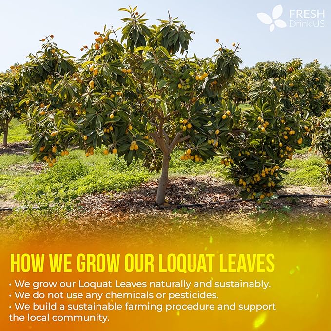 FreshDrinkUS, Premium 8oz Loquat Leaves | Dried Loquat Loose Leaf Tea | Eriobotrya japonica | Naturally Dried, Cut & Sifted | Herbal Tea Ingredient. Sugar-Free. Caffeine-Free. Vegan - Bloomnest