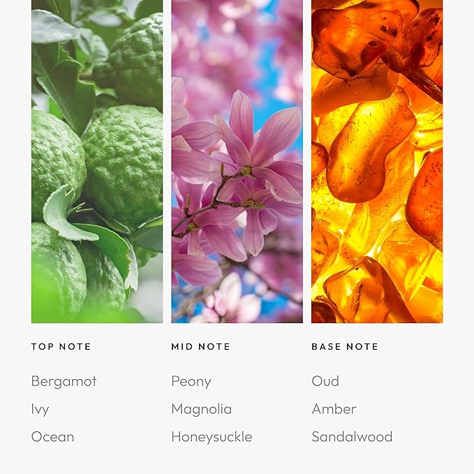 Aroma360 - Hourglass Diffuser - Bloomnest