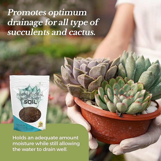 Extra Large 8.2 QT Bag Succulent Soil Premium All Purpose Blend | Pre-Mixed Ready to Use for Cactus and Succulents | Canadian Peat, Course Sand, Pinebark | Made in USA - Bloomnest