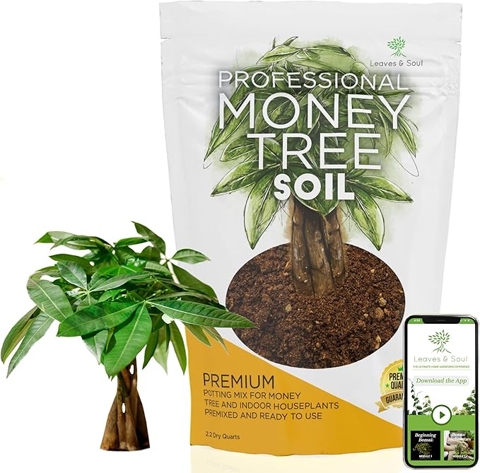 Professional Money Tree Soil | Large 2.2 Quarts Ready to Use for Money Tree Plants | Peat Moss, Coco Coir, Perlite, Dolomite | Made in USA - Bloomnest