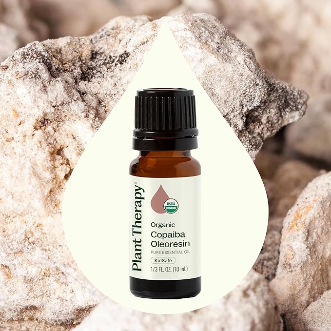 Plant Therapy Copaiba Oleoresin Organic Essential Oil 100% Pure, Undiluted, Natural Aromatherapy for Diffuser & Skin, Therapeutic Grade 10 mL (1/3 oz) Organic Copaiba Oil for Calming, Massage, Candles - Bloomnest