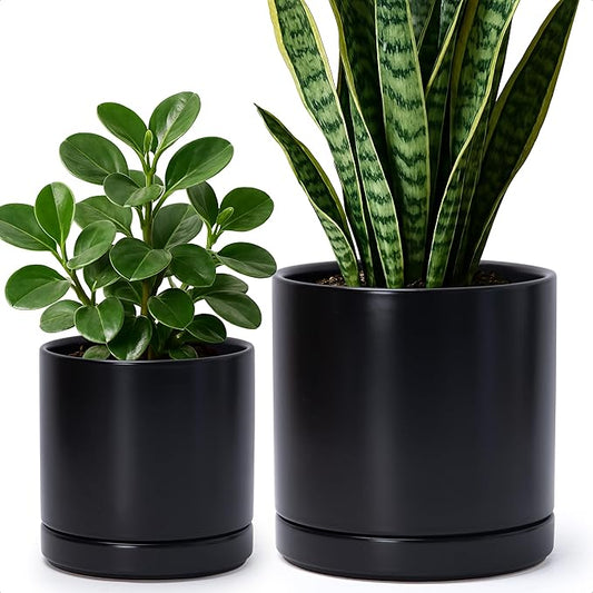 D'vine Dev 6.5 Inch & 8.2 Inch Ceramic Planter Pots for Plants with Drainage Hole and Saucer, Medium Plant Pots Set, Black, 94-G-M-2 - Bloomnest