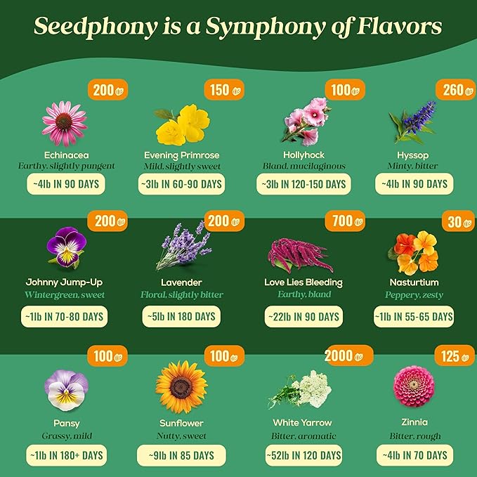 24 Gourmet Culinary Flower Seeds Variety Pack - 7,790+ Non-GMO Heirloom Flower Seeds for Planting Indoor & Outdoor Home Garden - Culinary Flowers Seed Packets for Planting Edible Flowers - Bloomnest