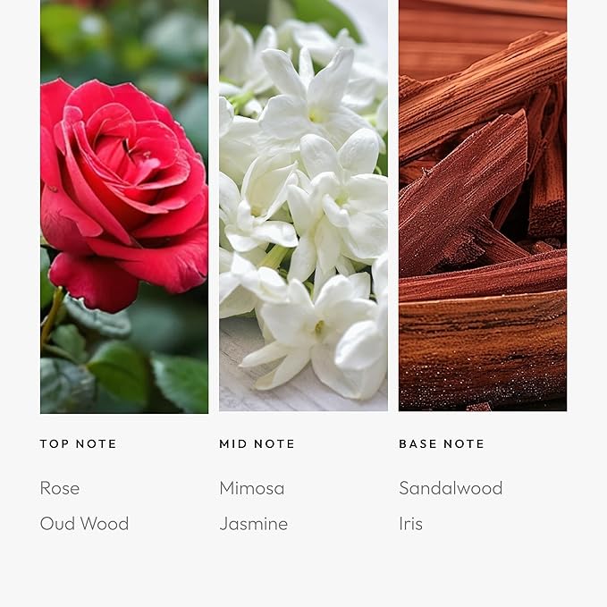 Kiss By A Rose 200mL - Bloomnest