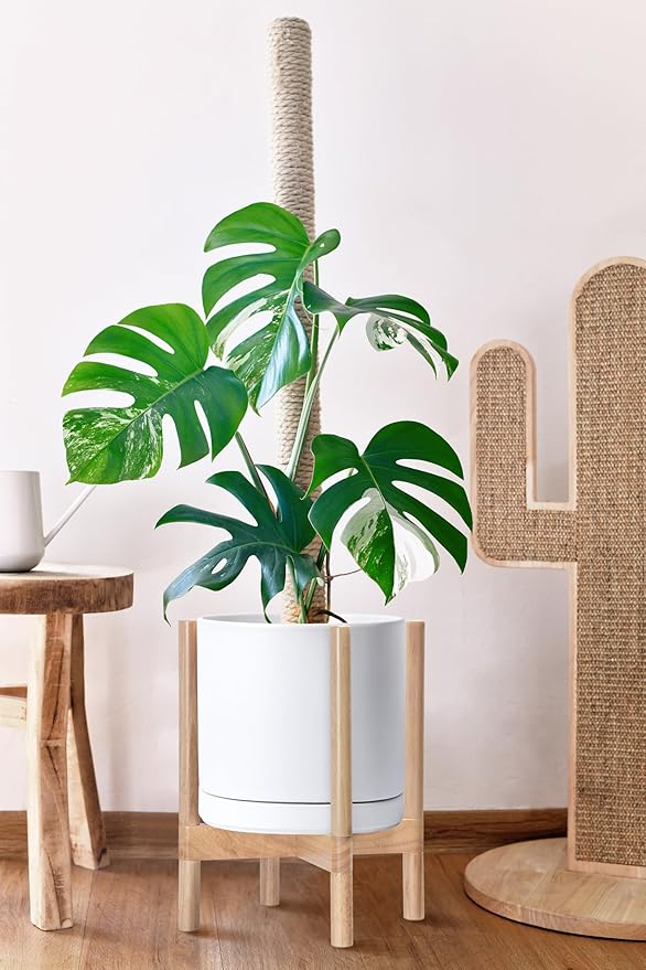 D'vine Dev Ceramic Planter with Natural Stand - 12 Inch Modern Round Flower Pot with Wood Planter Holder, White, 55-B-J-1 - Bloomnest