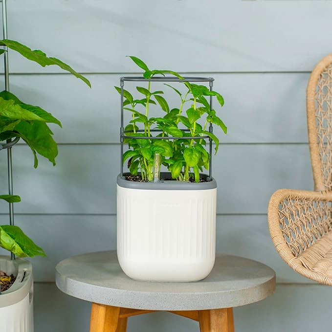 Vego garden Mini Planter Indoor Pots with Trellis Self-Watering Herb Countertop Planter for Climbing Vegetables Flowers Mint Plants Cage- Cream White - Bloomnest