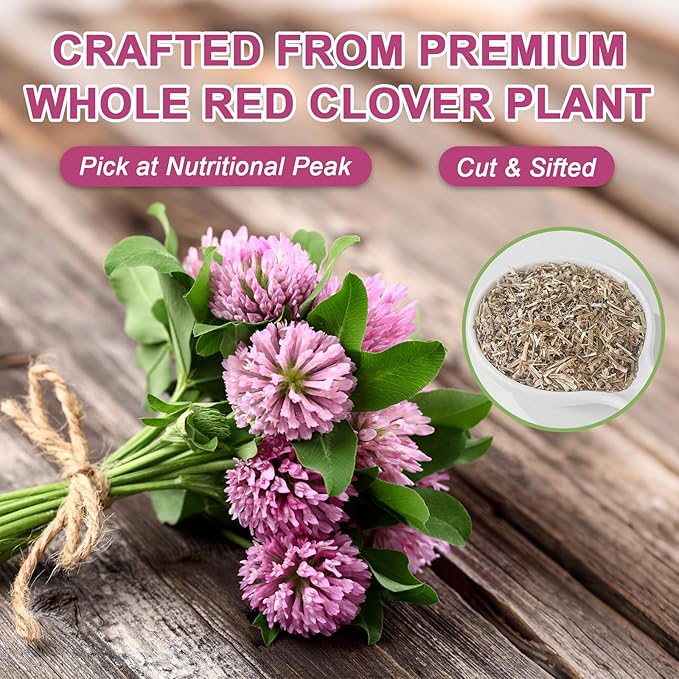 Fullchea - Red Clover Tea Bags, 50 Teabags - Pure Red Clover Herb - Non-GMO - Caffeine-Free - Rich in Antioxidants & Supports Wellness - Bloomnest