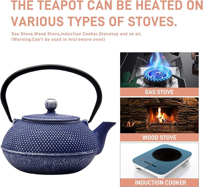 Cast Iron Teapot Tea Kettle with Stainless Steel Infuser for Stovetop Safe Coated with Enameled Interior Japanese Dark Blue Tetsubin for Loose Tea(30.4oz/900ml) - Bloomnest
