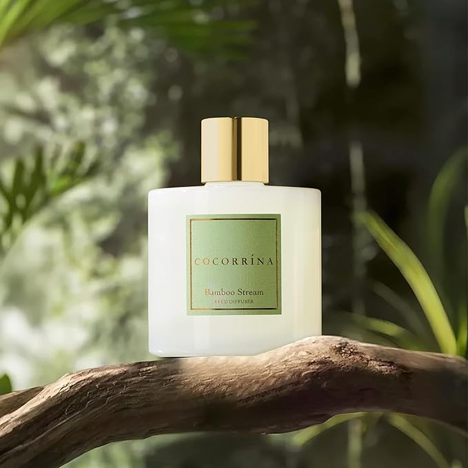 Cocorrína Reed Diffuser - Bamboo Stream Scented Diffuser with 8 Sticks Home Fragrance Reed Diffuser for Bathroom Shelf Decor - Bloomnest