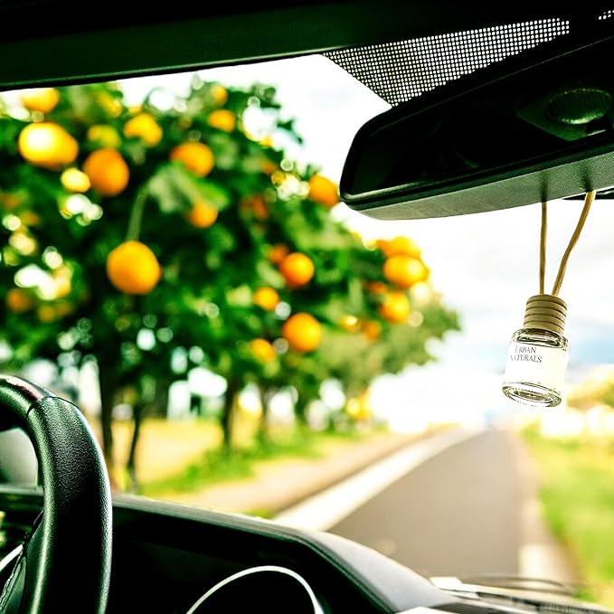 Urban Naturals Car Air Freshener Diffuser 3 Pack - Citrus Bliss Scent, 45+ Days Long Lasting Fragrance, Made in USA, Glass & Wood, Hanging Design + Vent Cip, Easy to Use - Bloomnest