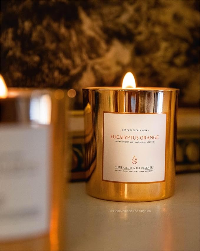 Benevolence LA Eucalyptus Orange Wood Wick Candles | Soy Christmas Scented Candles for Home | Holiday Candle Gifts for Women and Men | Home Fragrance | Aromatherapy | Shelf Decor | 8oz, 45 Hour Burn - Bloomnest