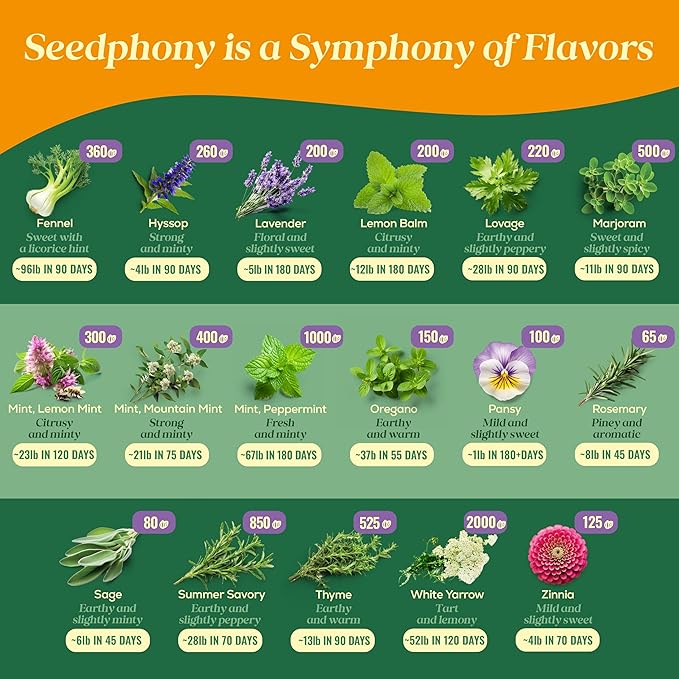 35 Medicinal & Tea Herb Seeds Variety Pack - 16,285+ Non-GMO Heirloom Herbs Seeds for Planting Indoor & Outdoor: Lavender, Rosemary, Echinacea, Mint, Catnip, Basil - Gardening Seed Packets - Bloomnest