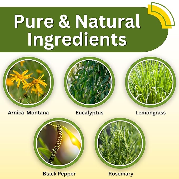 Relief Arnica Cream Natural Lotion for Effective Sore Muscle Relief | Arnica Bruise Cream with Lemongrass & Eucalyptus Essential Oils | Best Massage Lotion for Massage Therapy – 2 Pack - Bloomnest