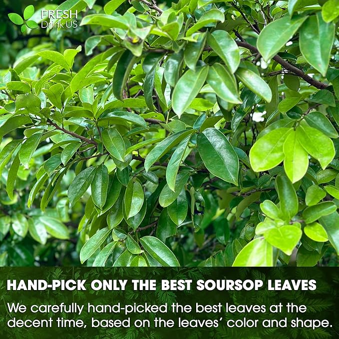 FreshDrinkUS, Premium 30+ Soursop Graviola Dried Leaves, Natural Whole Soursop Leaves, Wildcrafted, Hoja Guanabana, Loose Leaf Herbal Tea, No Gluten, Vegan - Bloomnest