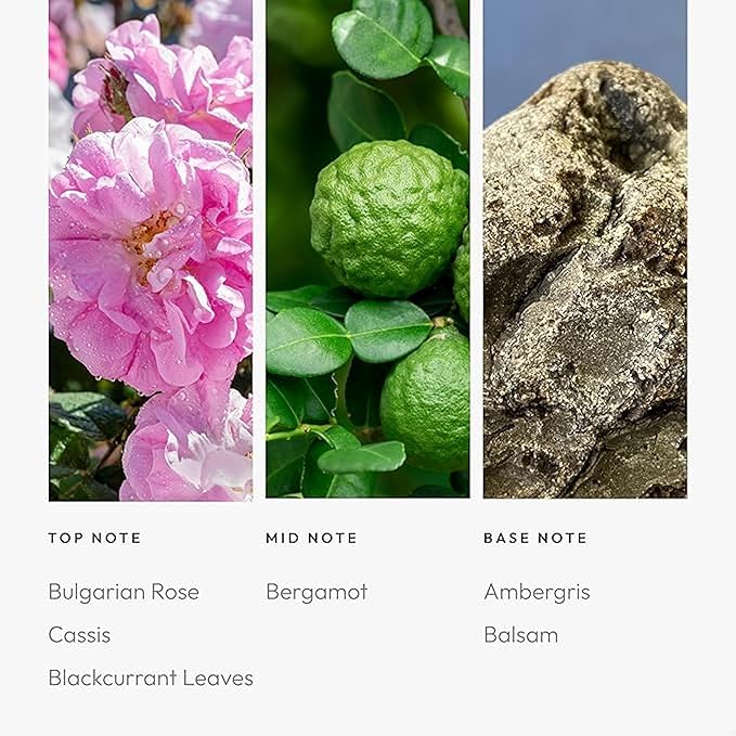 Iris 50mL - Bloomnest