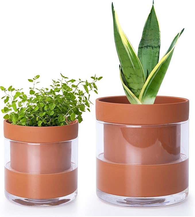 Phoenix Vine 4 Inch 6 Inch Self Watering Planter Pots, Terracotta Clay Pots with Glass Reservoir for Indoor Plants, Herbs, Flowers, 52-A-G-46 - Bloomnest
