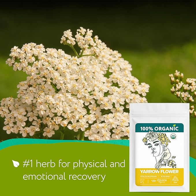 Organic Yarrow Tea (40 Tea Bags) - Support Immune Function, Digestion, Relaxation - Women's Tea for Healthy Cycle and Emotional Balance - Te de Milenrama - Bloomnest