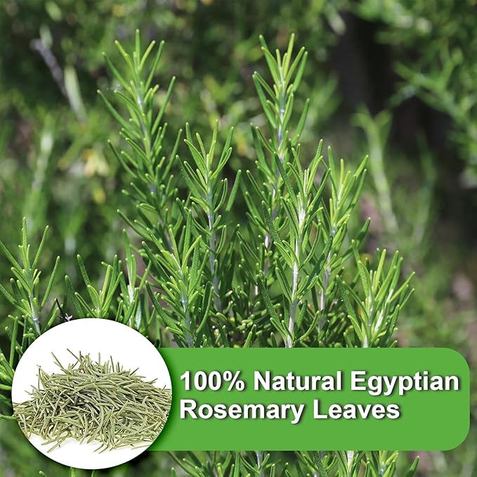 FullChea - Rosemary Tea Bags, 36 Teabags, 1.5g/bag - Premium Dried Rosemary Leaves - Cultivated From Egypt - Non-GMO - Caffeine-free - Distinct Flavor & Support Digestion - Bloomnest
