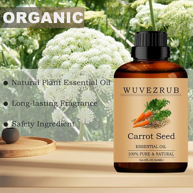 Carrot Seed Essential Oils, 240ML 100% Pure and Natural Essential Oil for Aromatherapy Diffuser - Carrot Seed /8 Fl Oz - Bloomnest