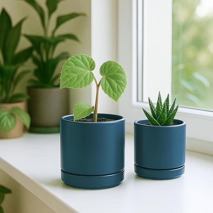 D'vine Dev 3.5 Inch & 4.7 Inch Ceramic Planter Pots for Plants with Drainage Hole and Saucer, X-Small Plant Pots Set, Teal, 94-G-XS-9 - Bloomnest