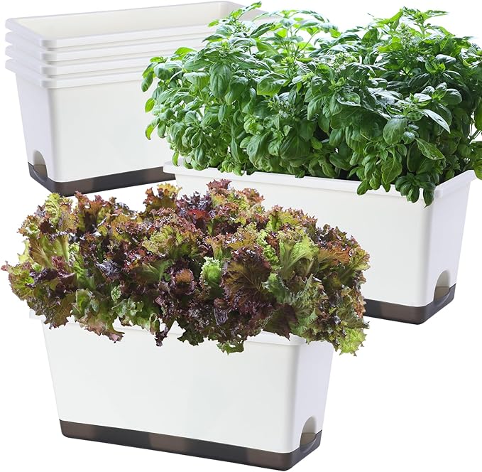 Window Box Planter 6 Pcs, 17 Inches Rectangle Flower Pots with Drainage Holes and Trays, Vegetable Planters for Windowsill Patio Garden Balcony Home Porch Yard Indoor Outdoor (White, 17*7.4*7.8 inch) - Bloomnest
