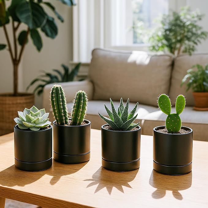 D'vine Dev Set of 4 Small Ceramic Plant Pots, 4.7 Inch Succulent Planter Pot for Plants with Drainage Hole and Saucer, Black, 94-X-B-2 - Bloomnest