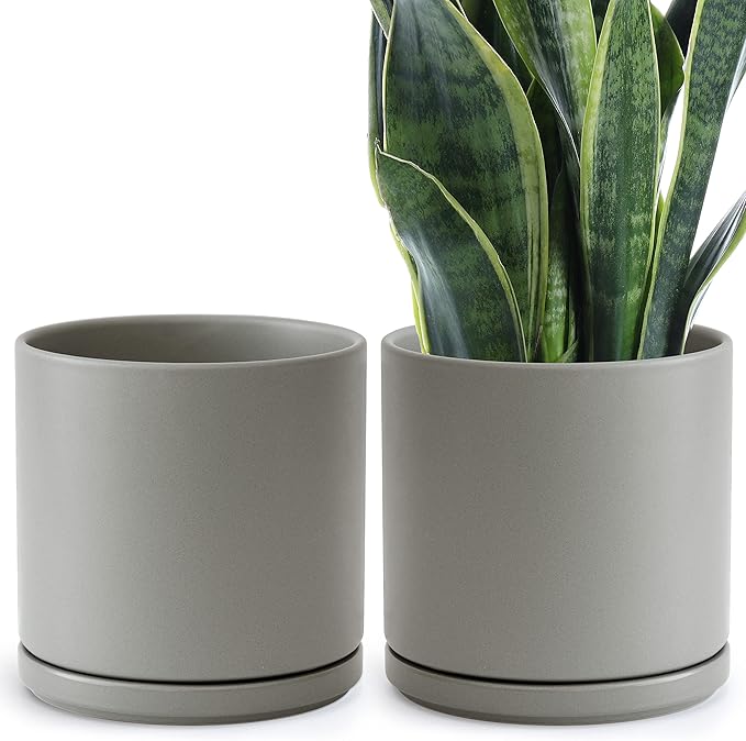 D'vine Dev Set of 2 Plants Pots, 10 Inch Ceramic Planter Pot for Plants with Drainage Hole and Saucer, Speckled Grey, 94-V-E-3 - Bloomnest