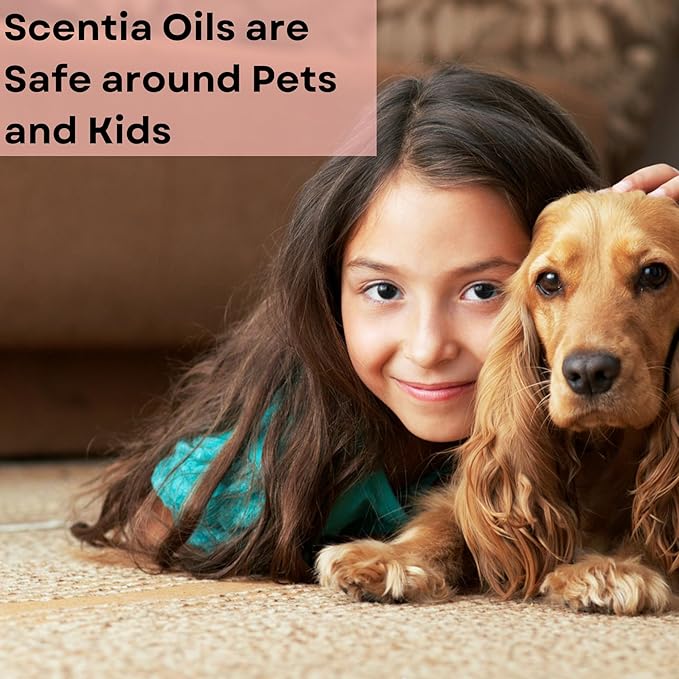 Scentia Gingerbread Bliss Fragrance Oil – 120ml Christmas Diffuser Oil | Cozy Holiday Blend with Nutmeg, Cinnamon & Vanilla | Aromatherapy for Home, Candles, Soaps & Holiday Décor | Made in USA Scentia