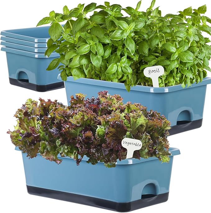 Window Box Planter 6 Pcs, 17 Inches Rectangle Flower Pots with Drainage Holes and Trays, Vegetable Planters for Windowsill Patio Garden Balcony Home Indoor Outdoor (Blue, 18 * 10 * 6 inch) - Bloomnest