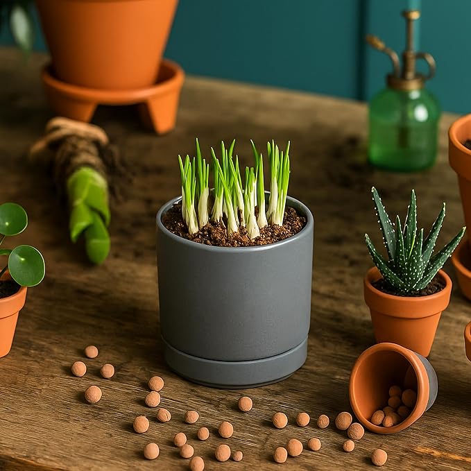 D'vine Dev Set of 4 Small Ceramic Plant Pots, 3.5 Inch Succulent Planter Pot for Plants with Drainage Hole and Saucer, Grey, 94-X-A-3 - Bloomnest