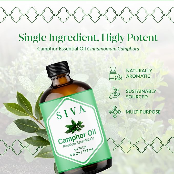 Siva Camphor Essential Oil - 4 Fl Oz – 100% Natural Camphor Oil - for Diffuser, Face, Skin Care, Aromatherapy, Hair Care, Scalp and Body Massage - with Dropper - Bloomnest