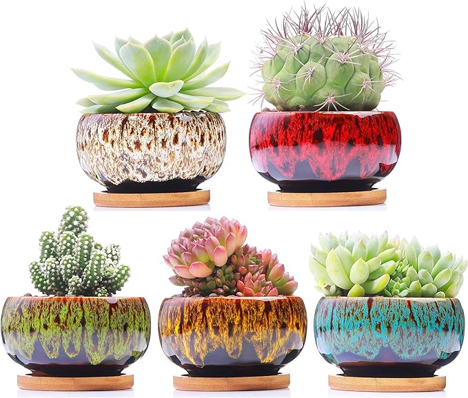 Cute Ceramic Succulent Garden Pots, Planter with Drainage and Attached Saucer, Set of 5 -Plants Not Included (Round) - Bloomnest
