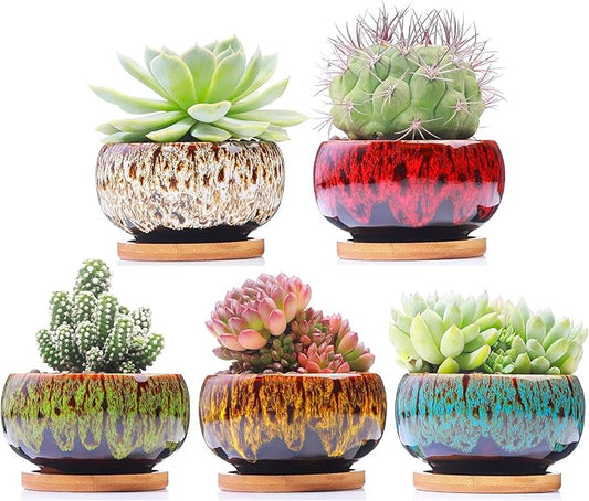 Cute Ceramic Succulent Garden Pots, Planter with Drainage and Attached Saucer, Set of 5 -Plants Not Included (Round) - Bloomnest