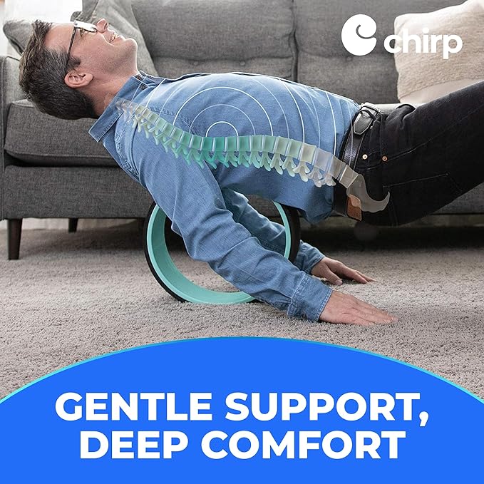Chirp Wheel Foam Roller – Targeted Back & Neck Relief, Lumbar Spine Stretcher, Spinal Decompression Back Stretcher, Massage Roller with Density Foam for Physical Therapy, Supports 500lbs, 10-Inch Mint