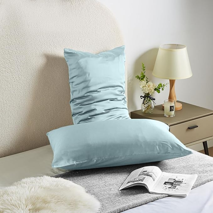 Silk Pillow Cases for Hair and Skin Mulberry Silk Pillowcase Soft Breathable Both Sided Natural Silk Pillowcase with Zipper Beauty Sleep Pillow Cases 1 Pack for Gift (Standard, Haze Blue) - Bloomnest