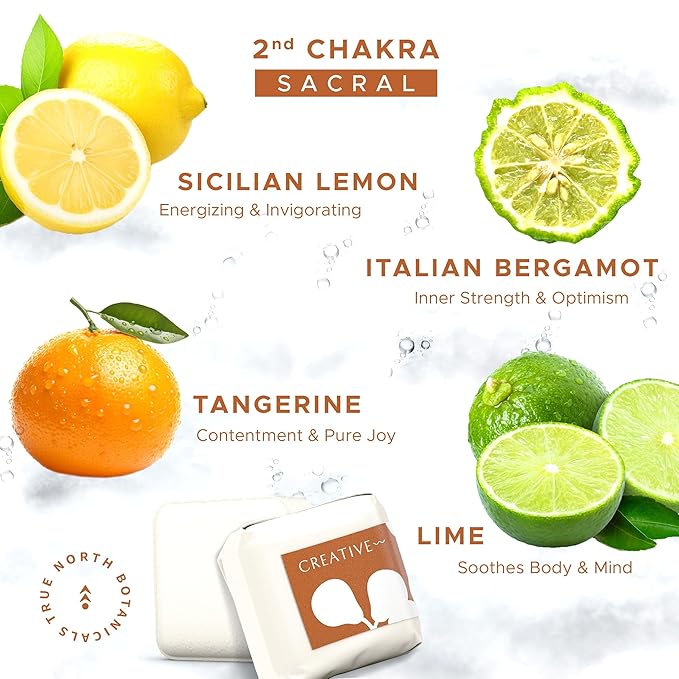 Large Shower Steamers (12 Pack-1.75oz Each) Chakra Aromatherapy Optimism & Self-Esteem-Ideal Men/Women/Teens Christmas & Birthdays (2nd Chakra - Bergamot, Tangerine, Lime) - Bloomnest
