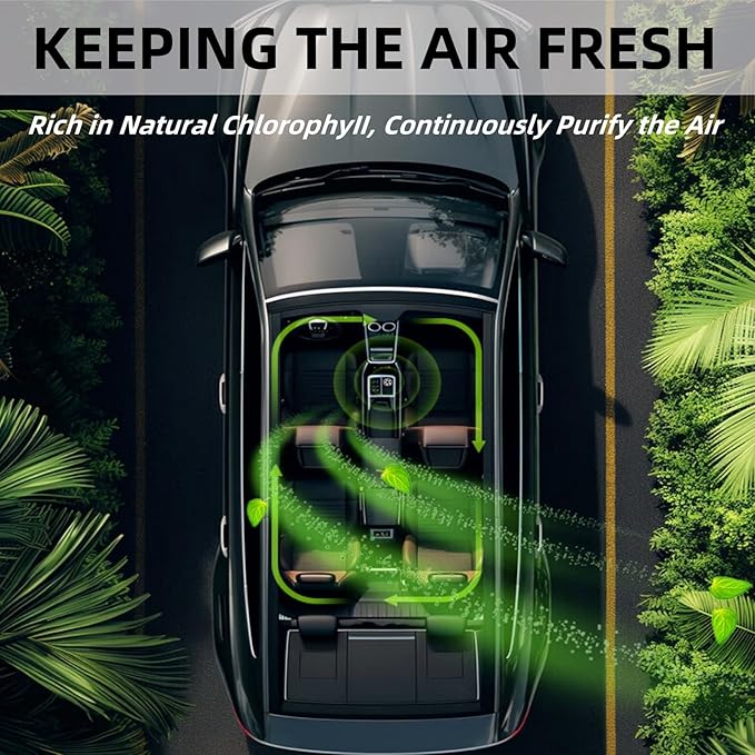 Smart Car Air Freshener Refill - 3 pcs Long Lasting Aroma Replacement for Car Diffuser (Ocean) - Bloomnest