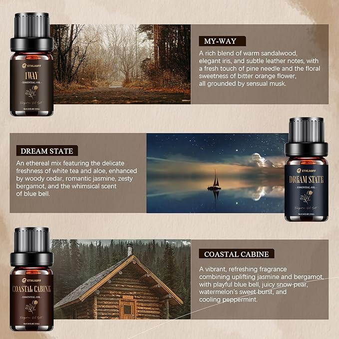 Hotel Diffuser Oils, Hotel Collection Diffuser Oil, Luxury Essential Oil for Diffuser, Soap & Candle Making Scents - 1 Way, Dream State, Coastal Cabine, Gloden Magic - Bloomnest