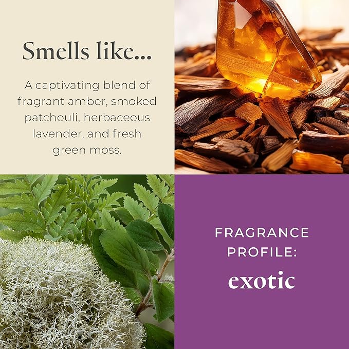 PartyLite Tea Lights Candles, Amber and Smoked Patchouli with Lavender Scent, Gift Set of 12, Aromatherapy with up to 4 to 6 Hours Burn Time, Ideal for Home Decor, Holiday Gifting & Celebration - Bloomnest