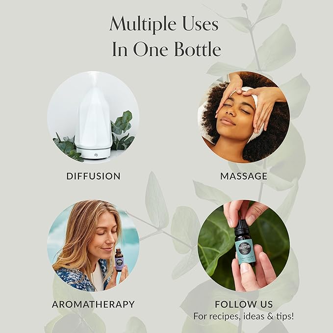 Edens Garden Fruit Essential Oils 3 Set – 100% Pure Therapeutic Grade Aromatherapy Oil & Blends: Be Fruitful, Citrus Cream & Lemon Oil – No Fragrance Oils & Natural - For Home Diffusers, 10 ml/ 3 Pack - Bloomnest