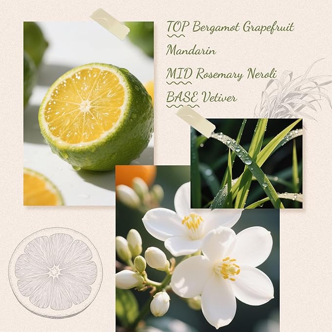 Reed Diffuser, 6.09 oz Citrus Grove Scent Diffuser with Sticks & Dried Flowers, 120 Days Long Lasting Diffusers for Home, Elegant Fragrance for Bathroom Bedroom Office Decor Air Fresh - Bloomnest