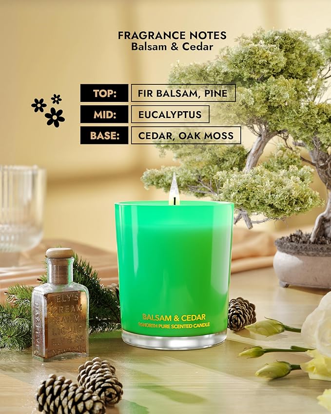 96NORTH Pure Candle Balsam & Cedar Scented | 100% Natural Soy Wax | 1-Wick Jar Candle | Natural Fragrance Technology | Non Toxic | Up to 35 Hours Burning Time | Ideal Christmas Candles Gift - Bloomnest