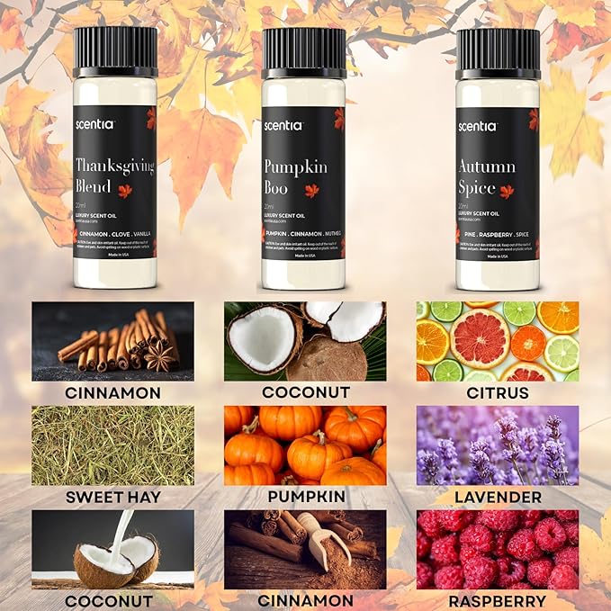 Scentia Fall Essential Oils for Diffuser with 3 Cozy Scents: Autumn Spice, Thanksgiving Blend & Pumpkin Boo - 20ml Aromatherapy Oils for Home, Candles & DIY - Perfect Fall Gift - Bloomnest