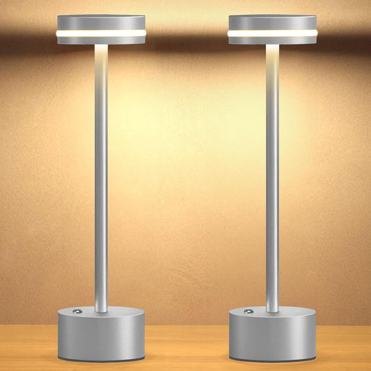 Cordless Table Lamp, Portable Rechargeable Bedside Lamp, Touch Stepless Dimmable Desk Lamp, for Home Bedroom Hotel Restaurant Bar Outdoor, 2 Set, Silver