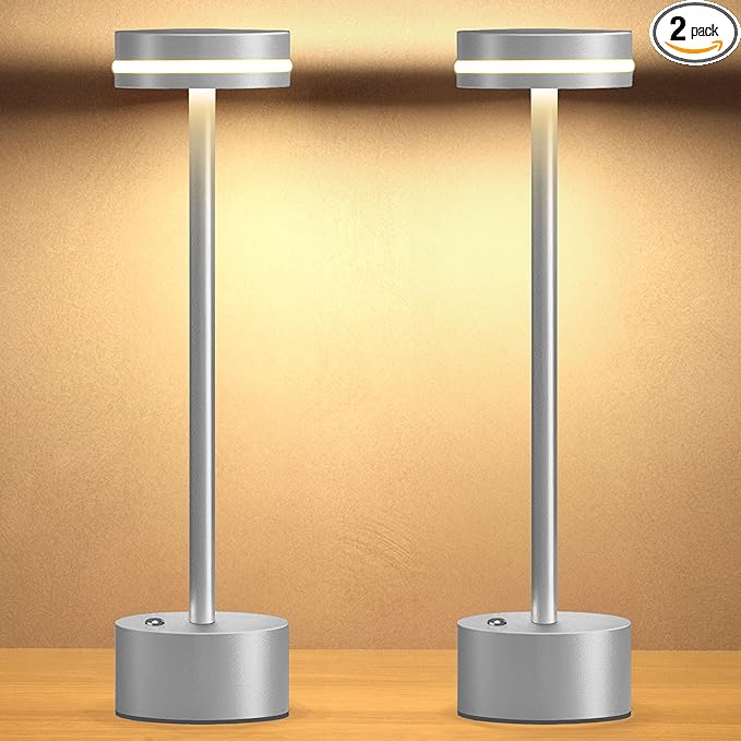 Cordless Table Lamp, Portable Rechargeable Bedside Lamp, Touch Stepless Dimmable Desk Lamp, for Home Bedroom Hotel Restaurant Bar Outdoor, 2 Set, Silver - Bloomnest