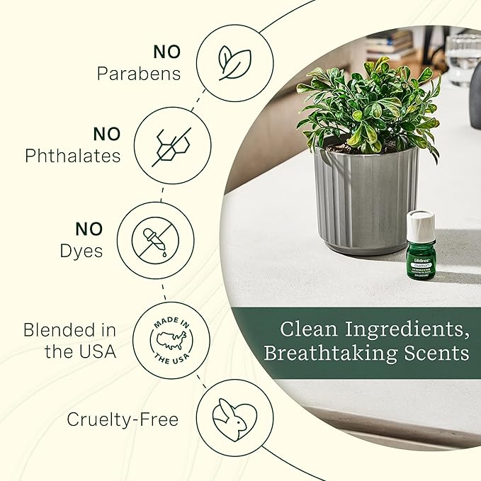 ClickWick Essential Oil Blends for Lifelines Diffusers, 4-Pack Discovery Set - Essential Oil Blend Refill for Candle, Plant & Shower Aromatherapy Diffuser - Fragrance for Diffusers - Bloomnest